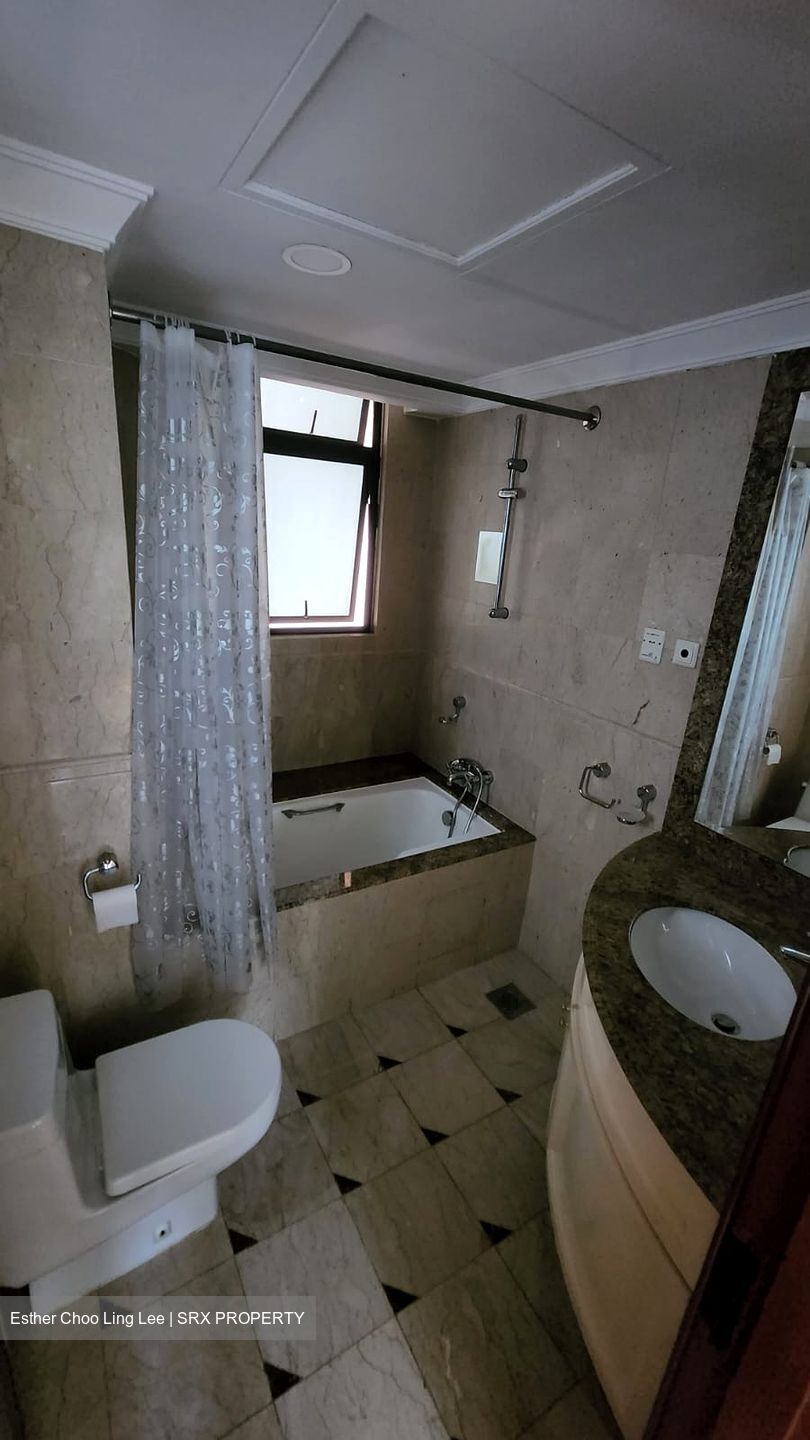 Valley Park (D10), Condominium #550627261